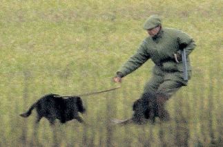 7DB76376-C27F-432E-016EA1C3DE251BEA