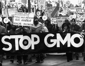 GMO-Protest