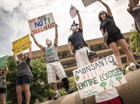 march-against-monsanto-rally-in-dallas_003917