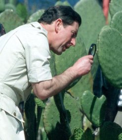 charlescactiDM2908_468x538