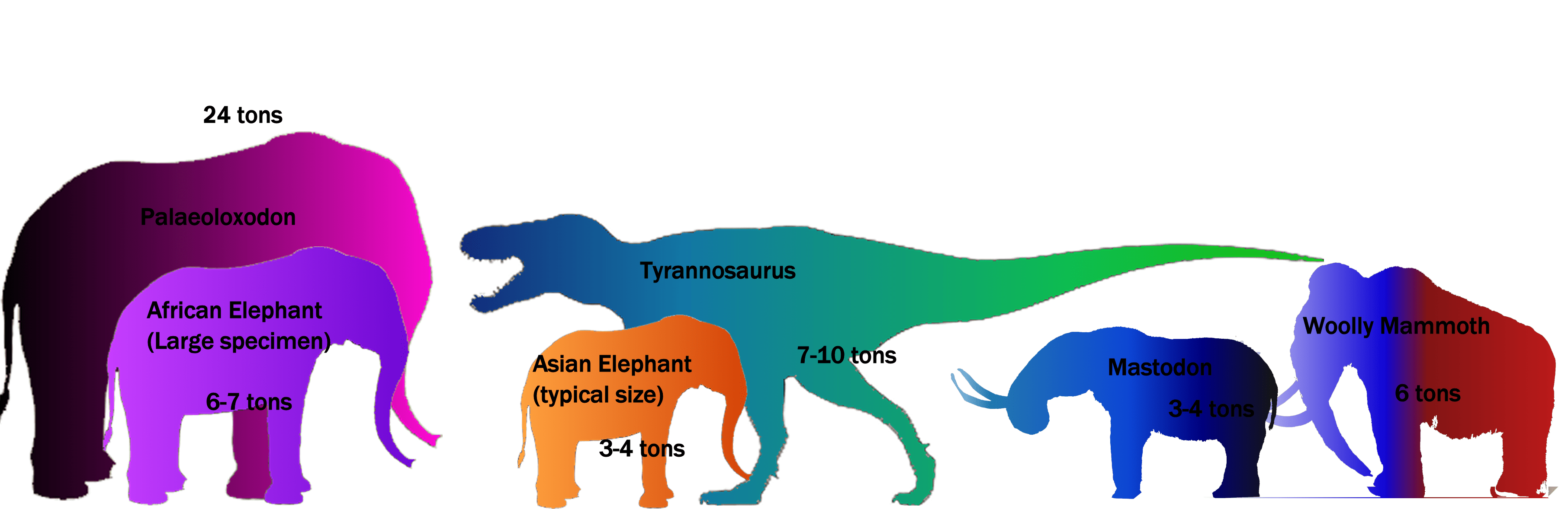 main-qimg-4e82411ef61edc75f90ea6db839a2cb8