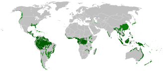 Rain_forest_location_map